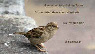 Gedicht Humor Wilhelm Busch